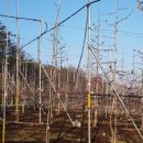 청태농장 이미지