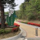 문수양궁장(주말) 이미지