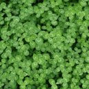 크로바빌딩 이미지