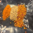 원보 | 건대 양꼬치거리 원보 양꼬치 후기/잡내없는 양꼬치와 꿔바로우