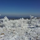 (주)태백산 이미지
