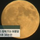 럭키장식 이미지