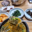 동빈추어탕 | 포항 죽도시장 맛집 꽁치추어탕회밥 전문 '꽁치다대기추어탕' 리뷰