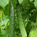 하리네 하우스 이미지