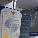 노일호 특수목적견 이미지