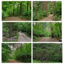 용소골농장 이미지