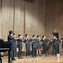 바이올린 중급반 이미지