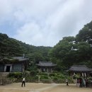 아트팩토리 봄 | 일기] 25.07.05-06 거제도 | 강화풍물시장 왕창잘되는집&amp;송화칩스, 용흥궁공원, 아트팩토리참기름, 전등사