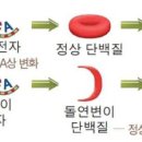 자연의 법칙(8). 이미지