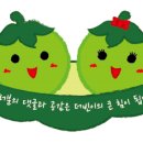 베트남쌀국수포메인북