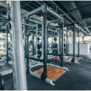 고구마 휘트니스 이미지