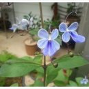 한농한의원 이미지