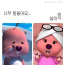 일년의 절반이 지났다(•ᴗ•) 글 굉장히 김