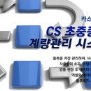 시스템 카스