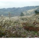 예천목장 이미지