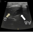 메이플 동물의료센터 이미지
