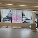 포근하개 이미지