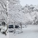 힐링캠프캠핑장 이미지