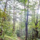 산곡초교입구 등산로 이미지