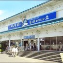 낙타와돌고래 이미지