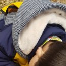 모라산림공원 이미지