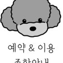 토실이네 애견 이미지