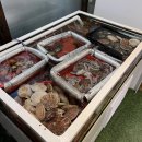 배터진돼지집 | ［김포 풍무 새우무한리필］배터진 돼지_소금구이,생새우회 등 / 가격, 주차장, 솔직후기 돼지집