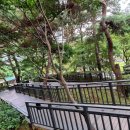 아차산 동행숲길 이미지