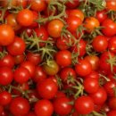 토마토당구장 이미지