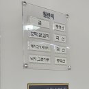 아리굴 이미지