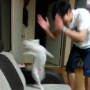 한강생고기집 이미지