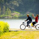 자전거탄풍경 이미지