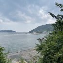 미스터옥슈슈