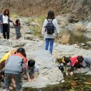 원천초등학교병설유치원 이미지