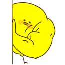 체육시간 이미지