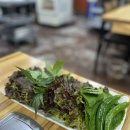 대호정 | 방산시장 맛집 쌈밥 을지로 대호정 내돈내산 솔직후기
