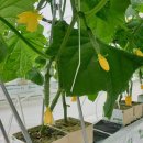 율면농장 이미지