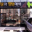 멍멍친구 애견샵 이미지