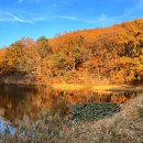 11월 경기도 추천 명소 4곳" 이미지