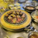 신마포갈매기 이미지