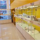 플랜멍 강아지분양 포항점 이미지