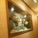 청운복집 이미지