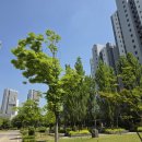 내고1농로 | 구미 산동 우미린센트럴파크 5차 디아망 회벽 크림 도배 후기