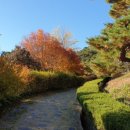 효덕IC 아래 이미지