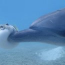 미복 원당점 이미지