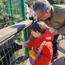 제주민속촌 이미지