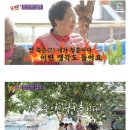 잎새 이미지