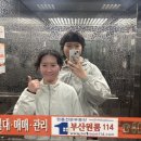 청춘횟집 이미지