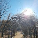 경안천 둔전생태공원 | 경기도 광주 공원 추천 경안천습지생태공원 방문 후기