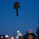 디하우스 이미지